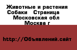 Животные и растения Собаки - Страница 6 . Московская обл.,Москва г.